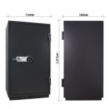 Seif Antifoc Sydney 120 electronic